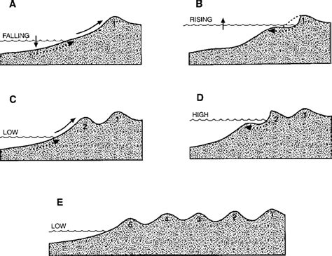 Development Of Successive Parallel Dune Ridges As The Result Of