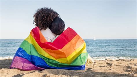 Insights Into The Evolution Of Homosexuality