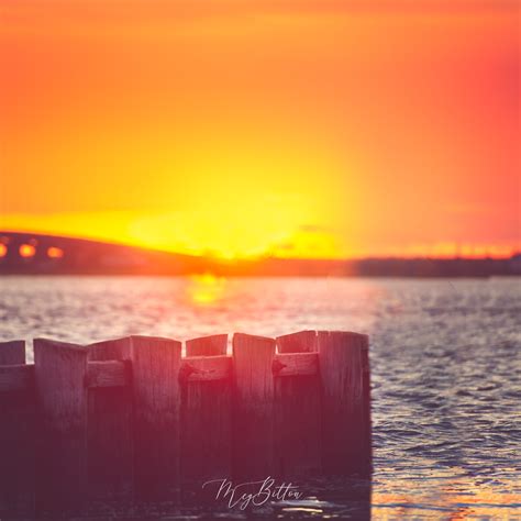 Digital Background Bay At Sunset Meg Bitton Productions