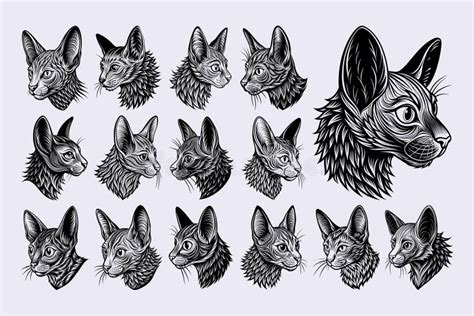 Side View of Drawing Lykoi Cat Head Illustration Design Bundle Stock Vector - Illustration of ...