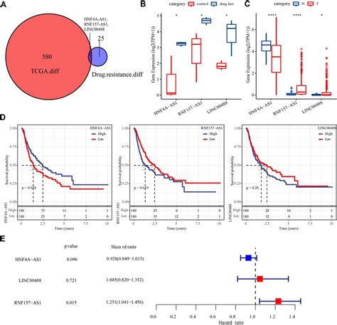 Frontiers Exploring A Four Gene Risk Model Based On Doxorubicin