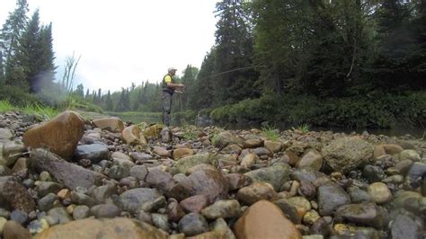 Ausable Trout On The Fly In Lake Placid Youtube