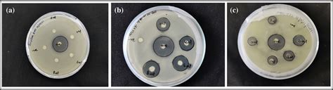 Zone Of Inhibition Zoi Of A Pristine Zno Nps And B Wt