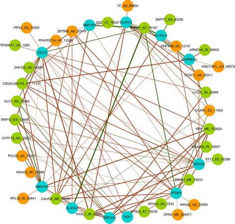 The splicing regulatory network constructed using splicing factors and ...