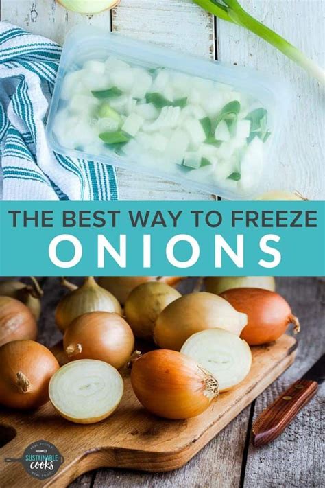 Learn all the tips and tricks for freezing onions to save a ton of time and money. Learning how ...