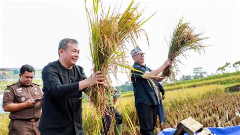 Targetkan Produksi Ratusan Ribu Ton Beras Tahun 2024 Purwakarta Benahi