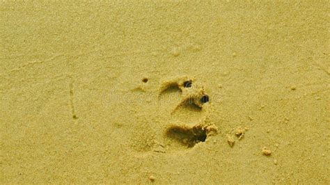 Footprint Stock Image Image Of Foot Beach Outdoors 72429701