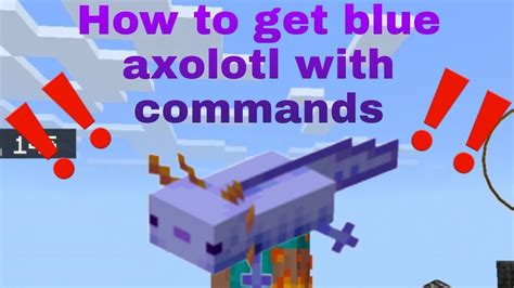 How To Get The New Blue Axolotl With Command Block O Minecraft