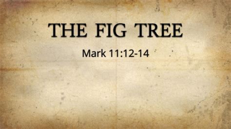 The Fig Tree Faithlife Sermons