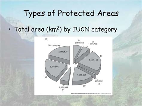 PPT - Protected Areas PowerPoint Presentation, free download - ID:989197