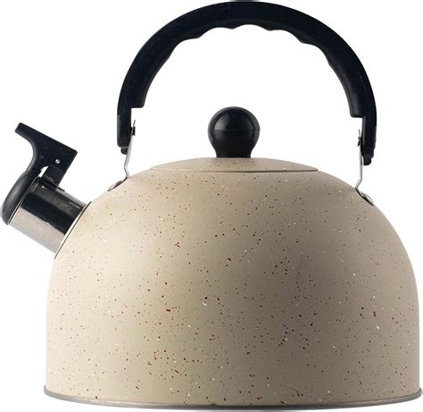 Fanelod Whistling Tea Kettle 2 5L Hot Water Kettle With Loud