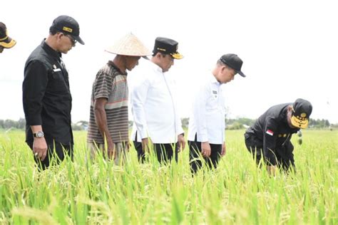 Setda Prov Kalteng Wagub Kalteng Dampingi Mentan Ri Tinjau Kawasan