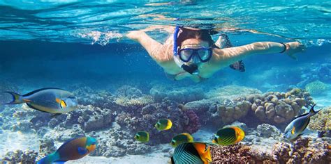 From Bali 3 Snorkeling Spots Tour To Lembongan And Penida