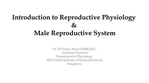 Solution Ahs Introduction To Reproductive Physiology Male Reproductive