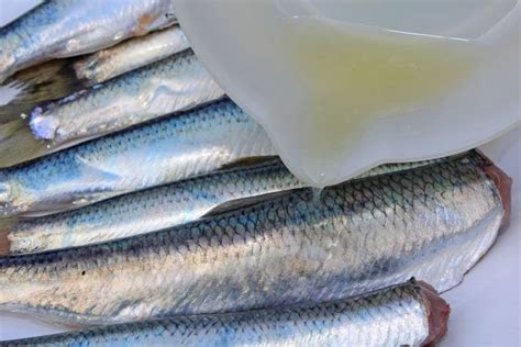 Schmeckt Wie Bei Oma Fisch Zubereiten Fisch Braten Brathering