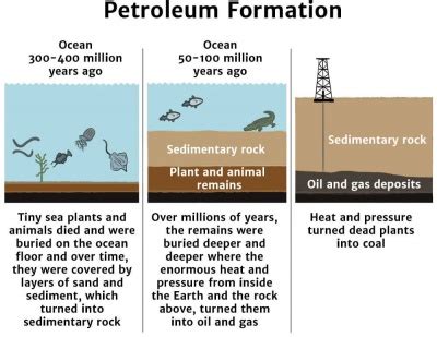 Formation Of Fossil Fuels Diagram