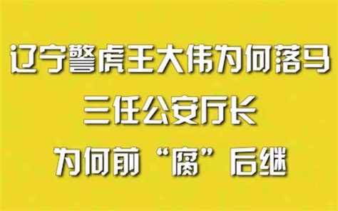 辽宁警虎王大伟为何落马？三任公安厅长为何前“腐”后继？ 哔哩哔哩 Bilibili