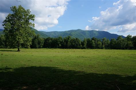 lush green mountain  photo  freeimages