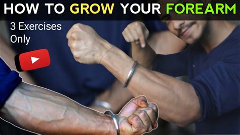 How To Grow Your Forearms Forearms Build Kaise Kare 3 Easy Exercises