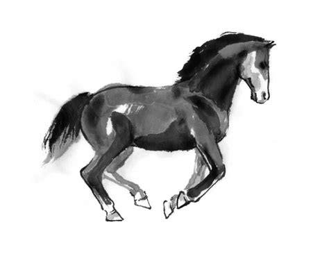 Drawings: drawing of a horse running | Pencil Drawing of Horse Running ...