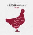 Diagram Showing Body Part Chicken Royalty Free Vector Image