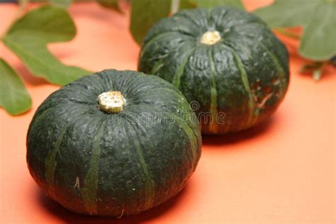 Calabaza Verde Foto de archivo - Imagen: 44216372