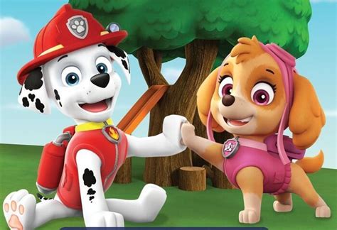 Marshall Skye Paw Patrol Relation Ship Wiki Fandom