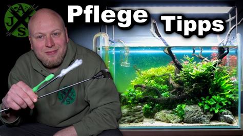 Aquarium Richtig Sauber Machen Aquascape Reinigen Jr Aquascaping