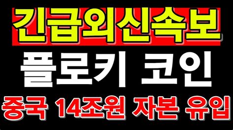 플로키 긴급외신속보 중국 자본 14조원 유입 플로키코인 베이비도지코인 도지코인 시바이누코인 일론머스크 YouTube