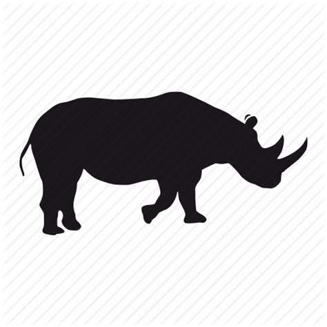 Rhinocerosblack Rhinocerosterrestrial Animalwhite Rhinoceros