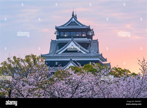 Kumamoto Castle and cherry blossoms Stock Photo - Alamy