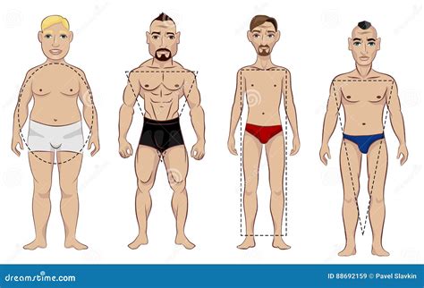 Tipos De Figura Masculina Ilustración Del Vector Ilustración De