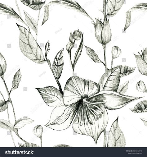 Wild Pencil Drawing Flowers Isolated On Stock Illustration 1310262943 | Shutterstock