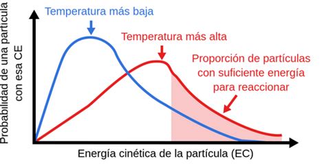 Factores Que Afectan A Las Velocidades De Reacci N Labster Theory