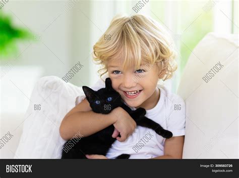 Child Playing Baby Cat Image & Photo (Free Trial) | Bigstock