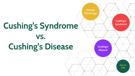 Cushings Syndrome Vs Cushings Disease By Sofia Chmaruk On Prezi Next