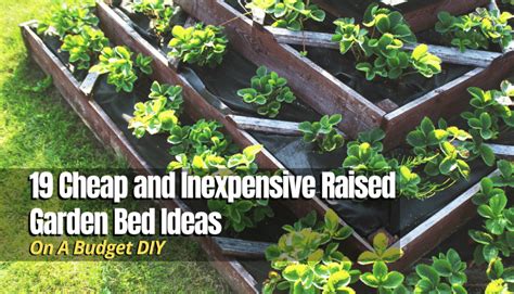 Cheap And Inexpensive Raised Garden Bed Ideas Diy The Backyard Pros