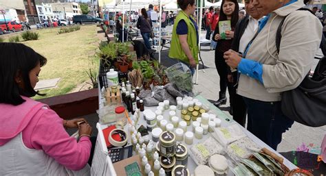 No te pierdas la Feria Ambiental de Metepec Aquí te contamos los detalles