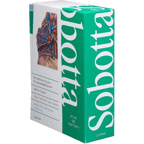 Sobotta Atlas Of Human Anatomy Th Edition Friedrich Paulsen Jarir