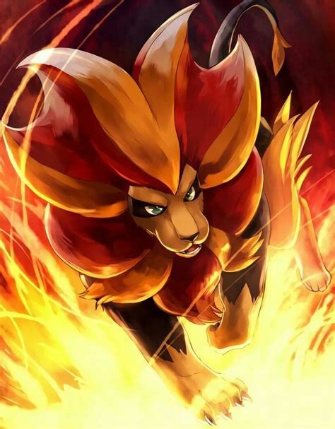 Pokemon Leão De Fogo - Pokemon De Fogo Lendario - NAZAEDU