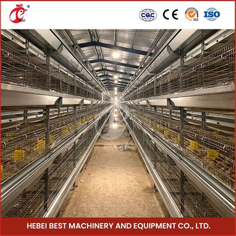 Bestchickencage H Frame Broiler Cages China Modern Chicken Coop Factory