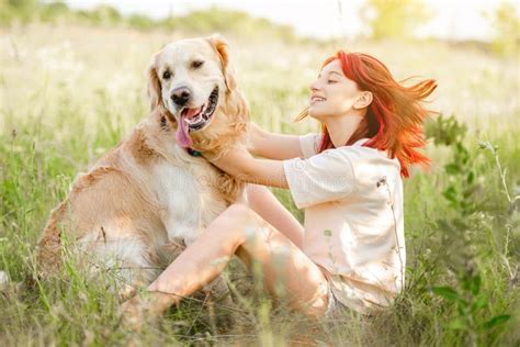 Adolescente Con Perro Recuperador De Oro Foto De Archivo Imagen De