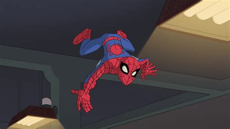 Spectacular Spider Man Wallpapers And Backgrounds 4k Hd Dual Screen