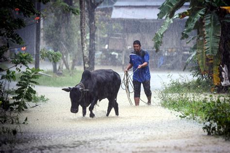 Sinarharian On Twitter Beberapa Buah Kenderaan Meredah Jalan Yang