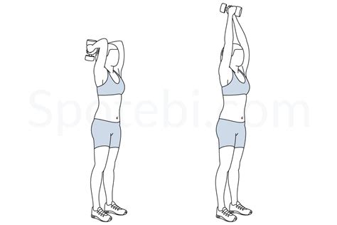 Dumbbell Triceps Extension | Illustrated Exercise Guide