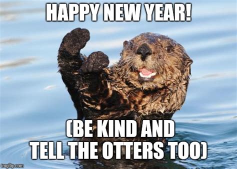 otter celebration Memes & GIFs - Imgflip