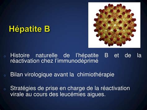 PPT Prise en charge des hépatites virales B C au cours des