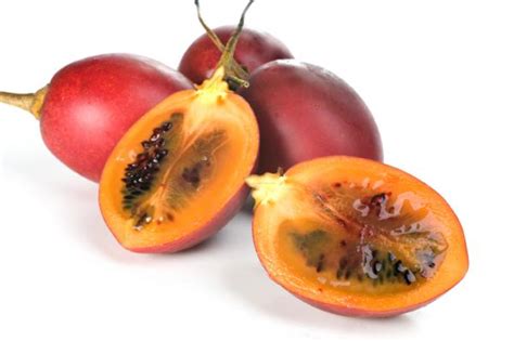 Cómo Cultivar Tomate De árbol GuÍa