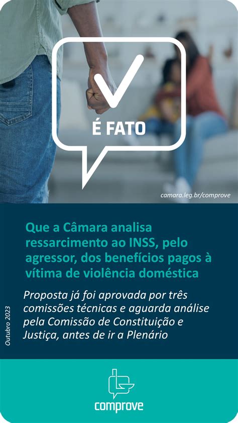 Fato Que A C Mara Analisa Ressarcimento Ao Inss Pelo Agressor Dos