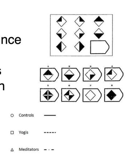 Lecture 6 Meditation And Aging Flashcards Quizlet